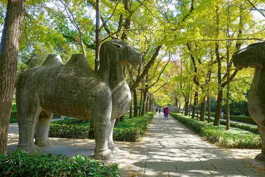 明孝陵石象路神道