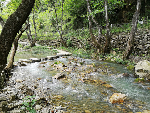 山中溪流