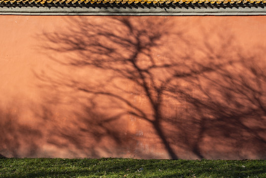 北京故宫红墙倒影