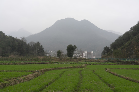 田园风光