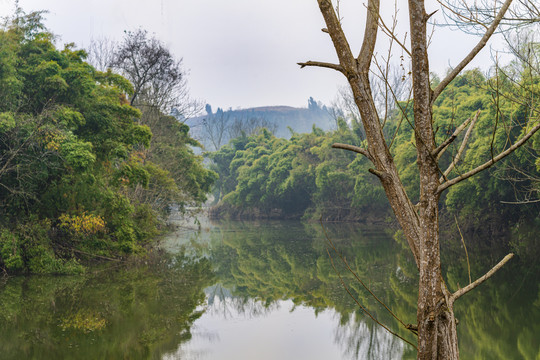 小溪风光