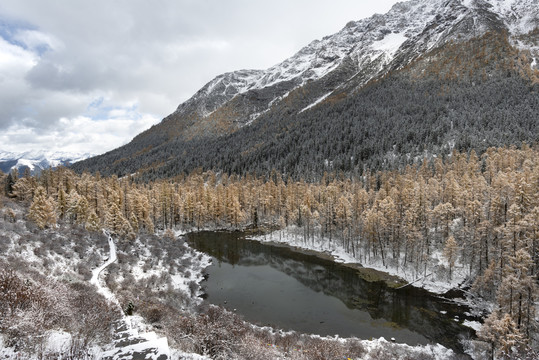 四姑娘山风光