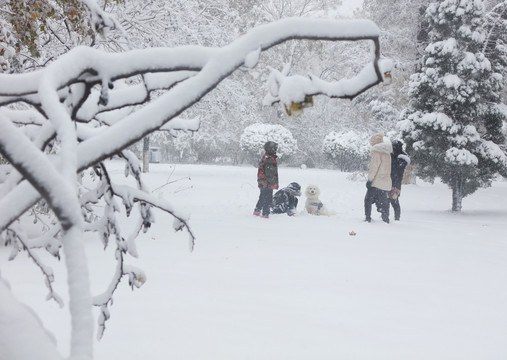 赏雪