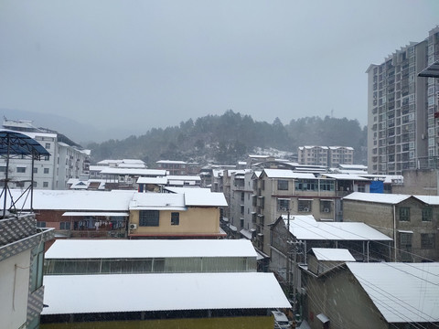 城市里下雪啦