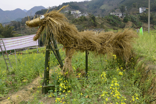 草编龙正侧面