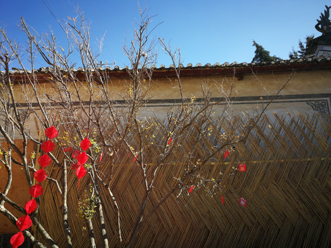 新年装饰