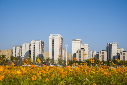 住宅楼群