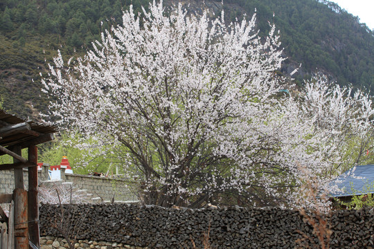 乡村民居