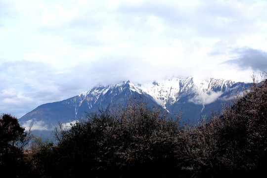 雪山