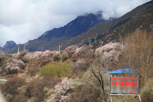 雪山景区