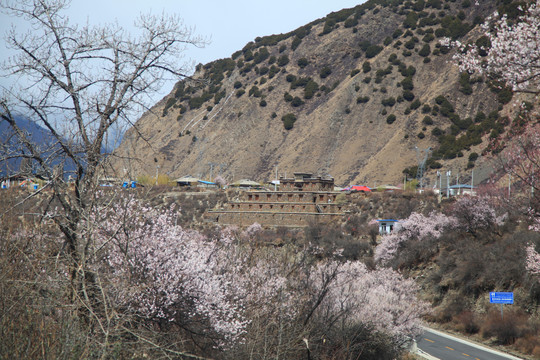 春天山景