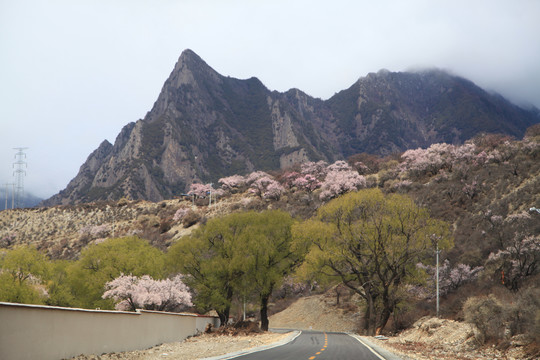 春天山景