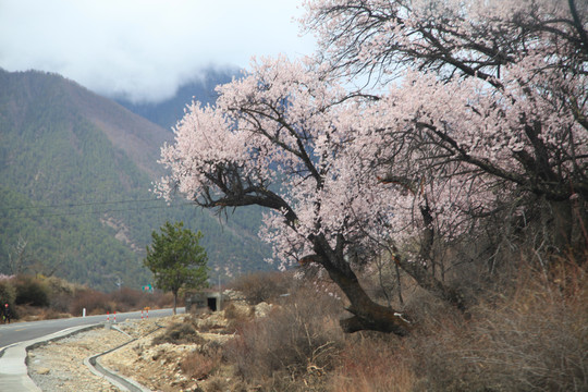 山间公路