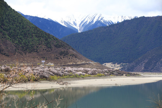 青山绿水