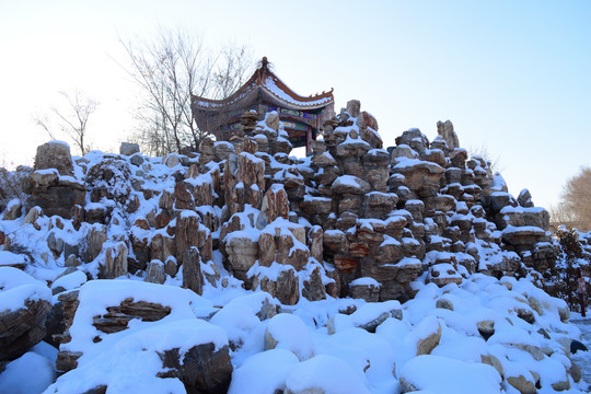 雪景