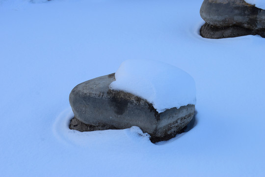 白雪