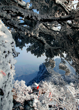 武當山銅殿雪景