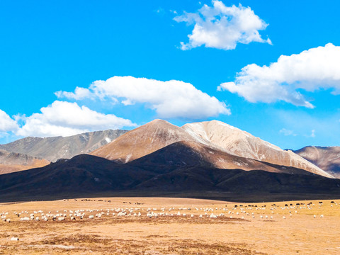 祁连山秋景