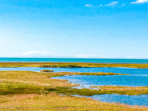 青海湖风光