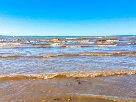 青海湖风光