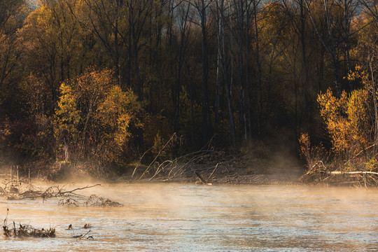 秋季清晨河边树林晨雾