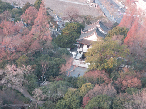 俯瞰上海桂林公园