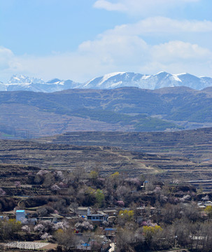 山村早春