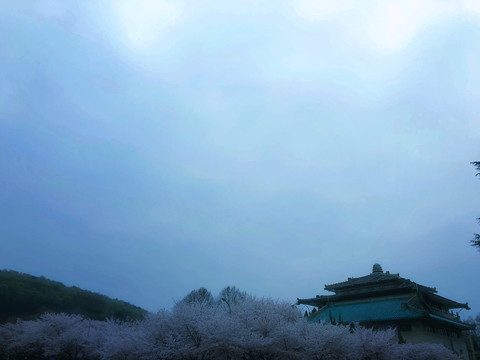 傍晚时分的天空风景图片