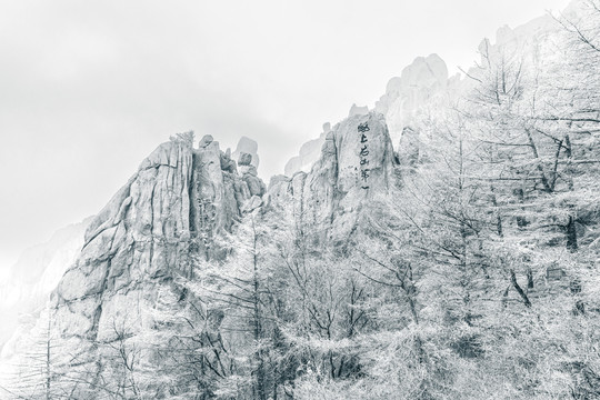 风雪崂山晶挂