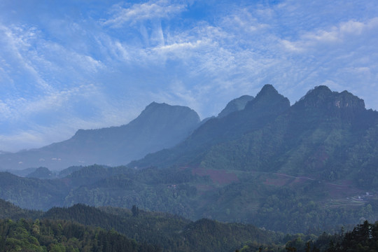 宜宾珙县鹿鸣茶山自然景观