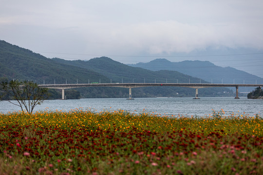 杭州建德下涯村