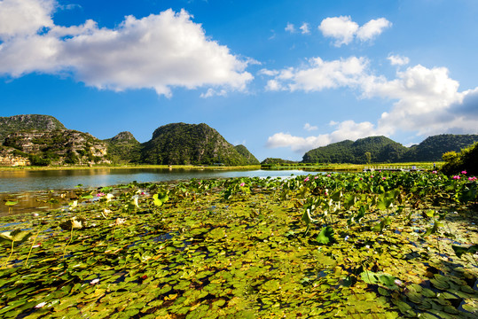 三生三世十里桃花