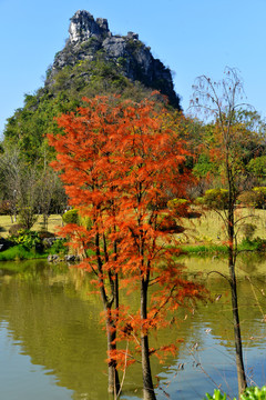 山水风光