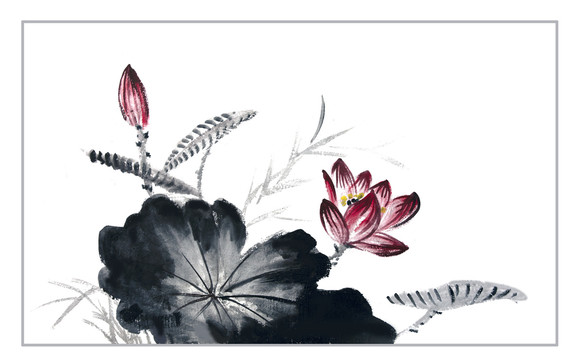 國花荷花