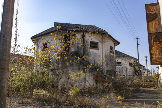 70年代谷倉(cāng)