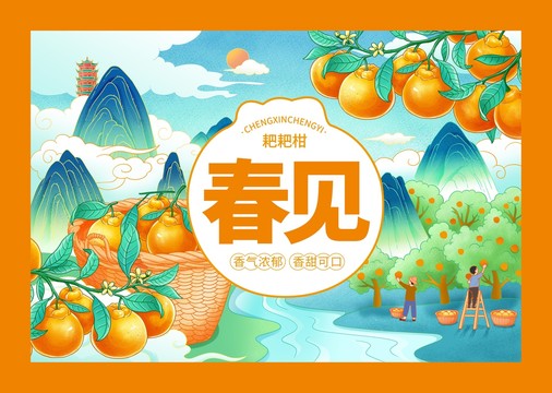 春見包裝平面圖