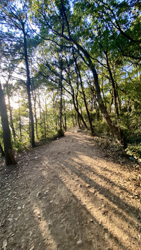 灵岩山登山