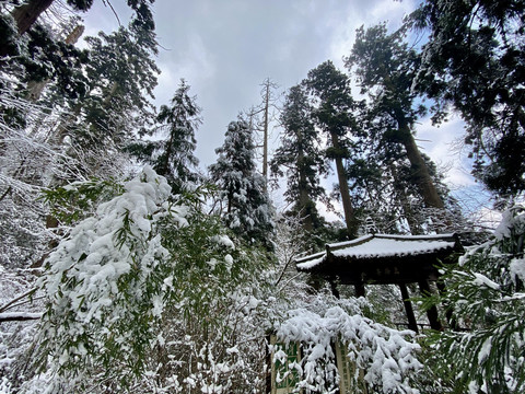 天目山雪景