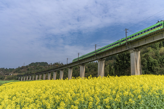 希望的田野