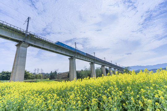 希望的田野