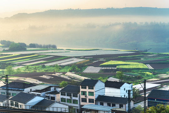 希望的田野