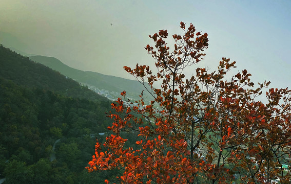 初秋时节山林风景图片