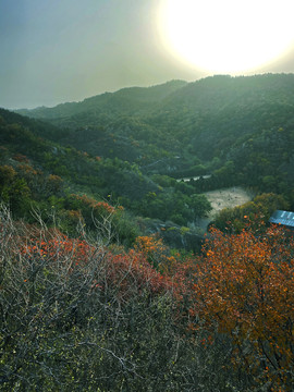 夕阳西下时山峰树林风景图片