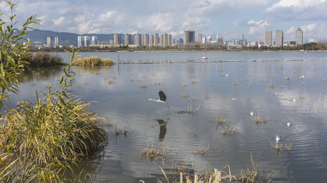 昆明滇池湖畔城市风光