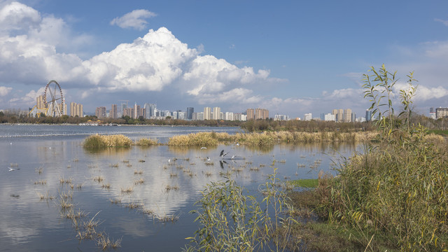 昆明滇池湖畔城市风光