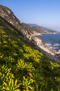 海岸线