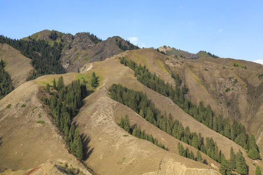 新疆天山风光