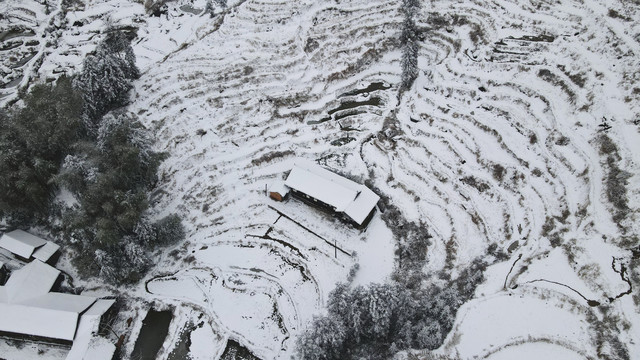 梯田下雪雪景航拍照片4K