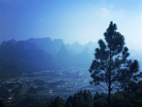 远山迎客松风景图片