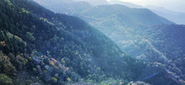 户外连绵起伏的青翠山林风景